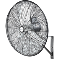 EA644 Non-Oscillating Wall Fan, Industrial, 24" Dia., 2 Speeds