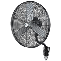 EA667 Oscillating Wall Fan, Heavy-Duty, 30" Dia., 3 Speeds